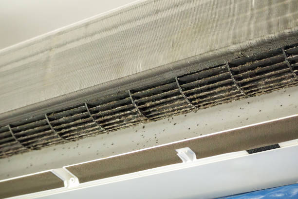 Best Affordable Duct Cleaning Services  in Morgan Hill, CA